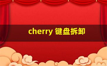 cherry 键盘拆卸